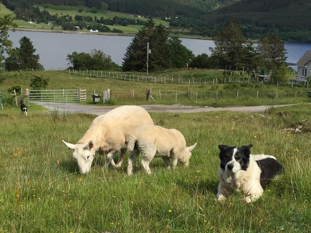 Torran B & B Ullapool Luaran gambar
