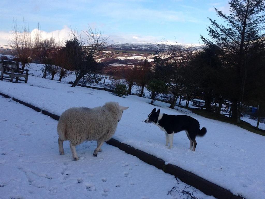 Torran B & B Ullapool Luaran gambar